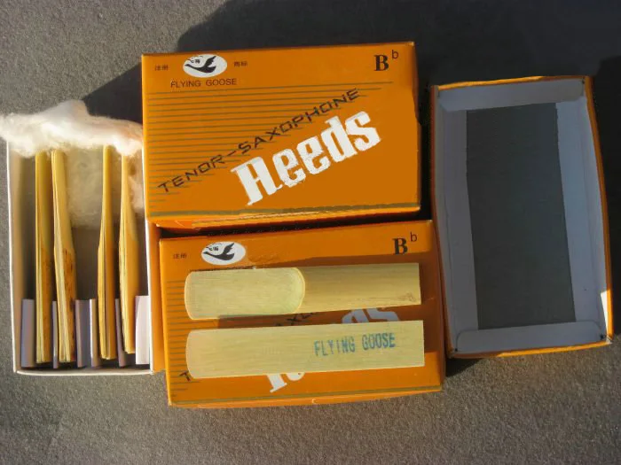 Бесплатная доставка основной тренировочный Летающий гусиный тенор саксофон для