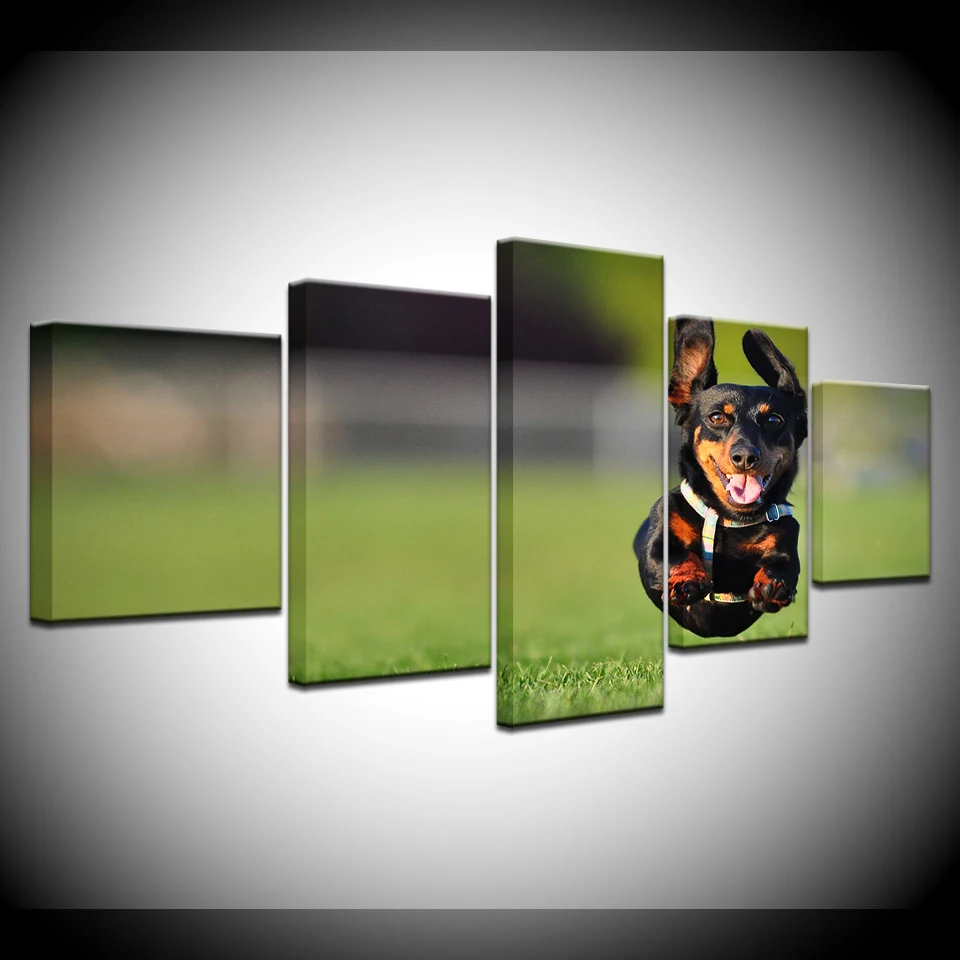 

Canvas Paintings Home Decor 5 Pieces Cute Black Retriever Posters HD Prints Animal Dog Pictures Living Room Wall Art Framework