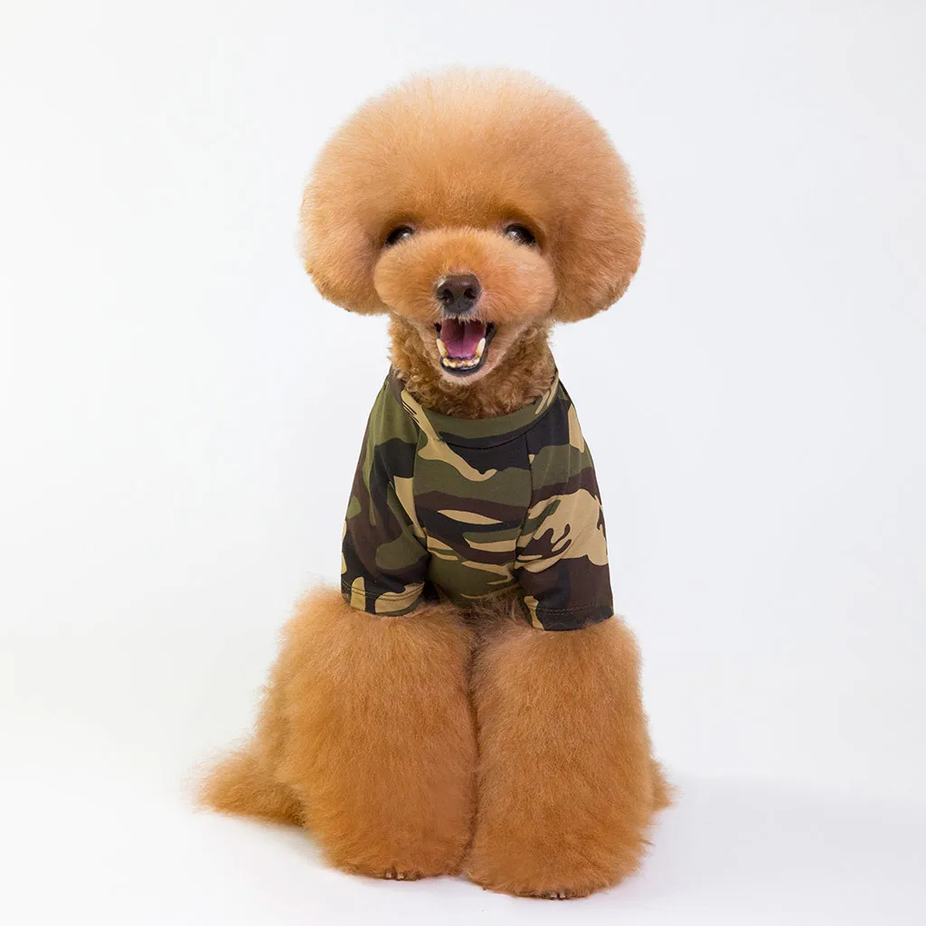 Pet Spring And Summer Watermelon Print Dog Costumes Pet Dog Clothes Shirt