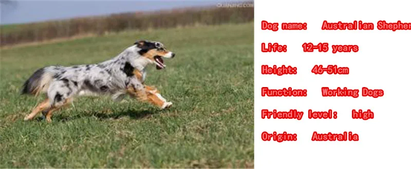 Mdogm австралийская овчинка броши и булавки в виде животных костюм милый