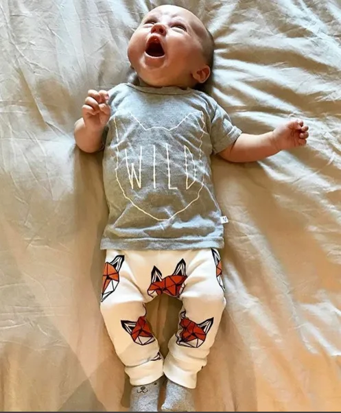 2019 Summer New Baby Boy Clothes set Short sleevesd Leisure fox T shirt+Pants Newborn Girl Clothing 2 Pcs Set | Детская одежда и