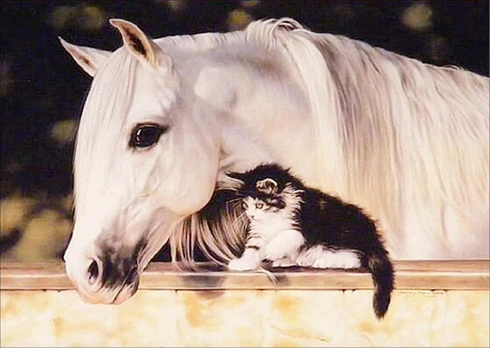 Horse Couple with Cat Snow Scene Animal 5d Diy Diamond Painting Digital Oil Embroidery Mosaic T6228 | Дом и сад