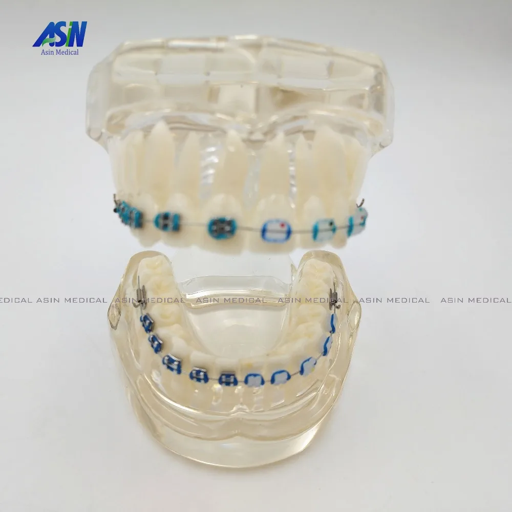 Новое поступление Стоматологическая Ортодонтическая пластина для Typodont зубы