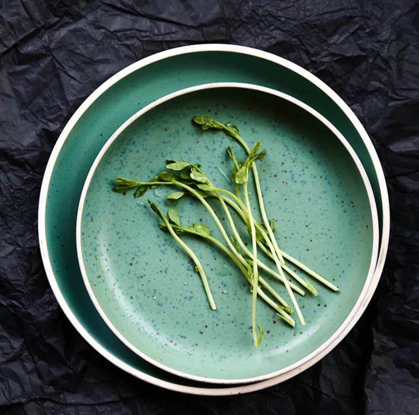 Кухонная посуда керамическая тарелка креативные двойные ушные глубокие тарелки