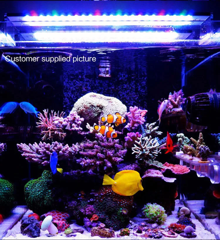 Chihiros морской Светодиодный светильник Коралл SPS LPS аквариум морской риф танк Белый Синий Chihiros