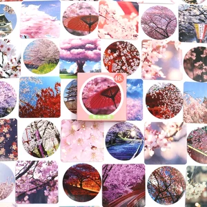 46 шт.кор. красивая с украшением в виде милого цветка стикеры самоклеящиеся Стикеры для художественного оформления ногтей, ручная работа, ремесло скрапбукинга наклейки Подарочные канцелярские товары