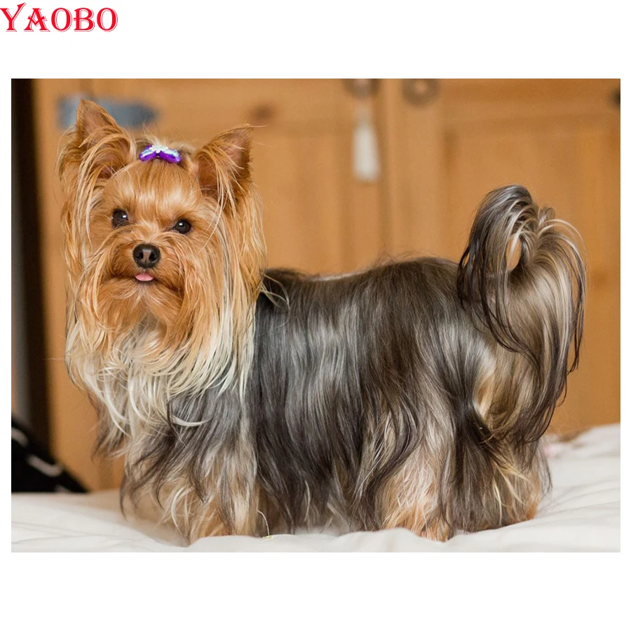 Стразы Вышивка своими руками 5D алмазная живопись Йоркширский Терьер Собака