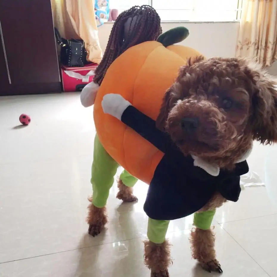 Забавные костюмы для собак Поднимите тыкву забавная одежда домашних животных