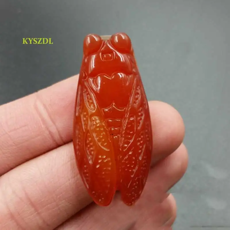 

KYSZDL Natural high quality hand carved red chalcedony stone cicadas pendant necklace Men and women birthday gift jewelry
