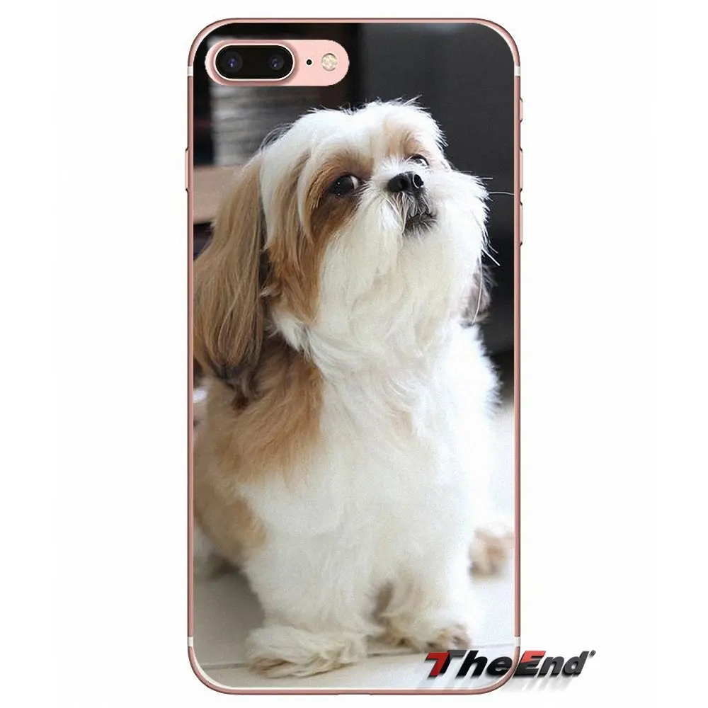 Мягкий прозрачный чехол для щенков собак shih tzu Huawei P Smart Y6 Ascend P8 P9 P10 Plus Nova P20 Lite Pro Mini