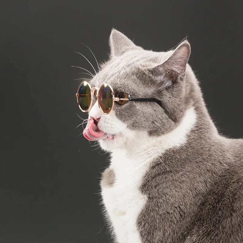 Крутые маленькие кошачьи солнцезащитные очки с металлической оправой