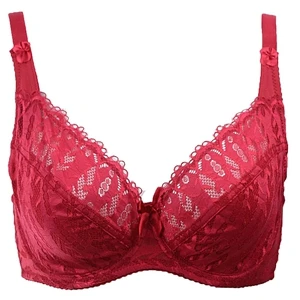 Red Plusgalpret 34D 34DD 34E 36D 36DD 36E 38D 38DD 38E 40D 40DD 40E 42D 42DD 42E 44D 44E размера плюс без подкладки кружевные бюстгальтеры - Цвет: Red