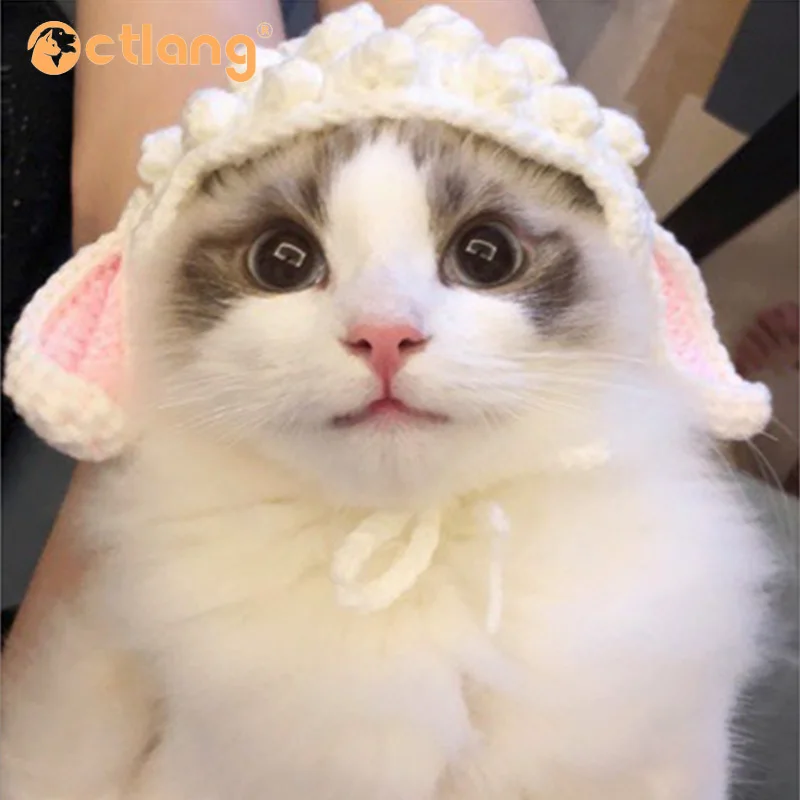 Головной убор для маленьких кошек и овец головной собак аксессуары 2