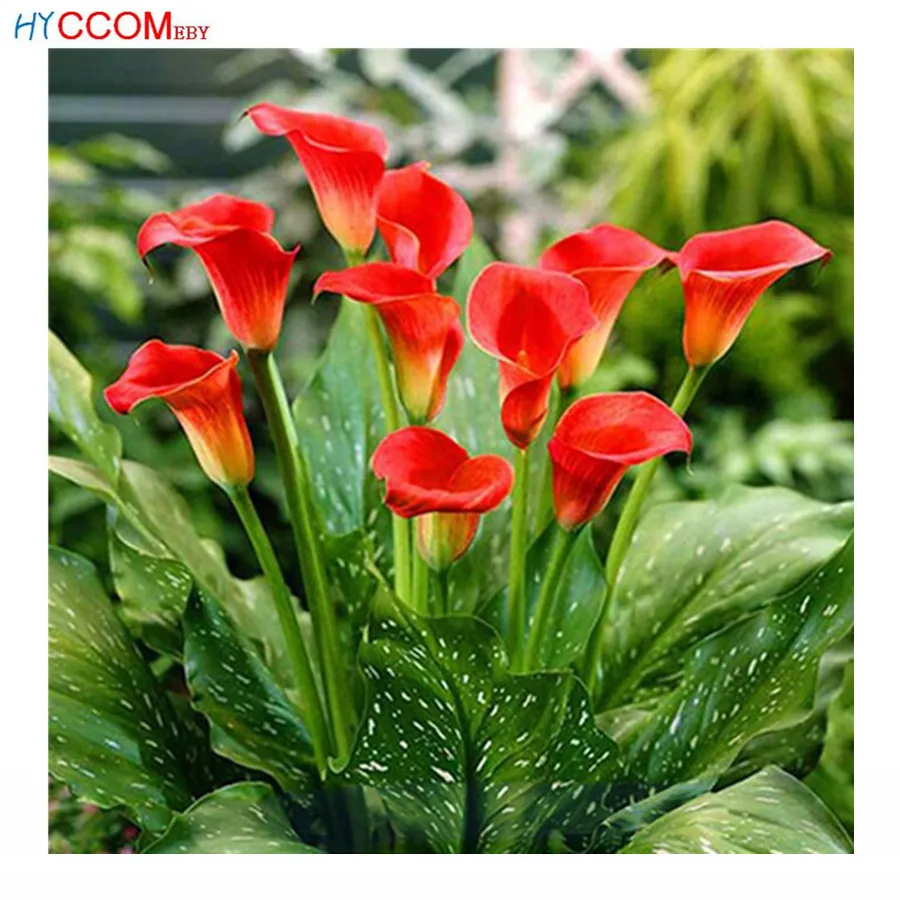 

Home Decor diamond embroidery Calla flower 5d needlework diamond painting diy cross stitch rhinestone Round drill
