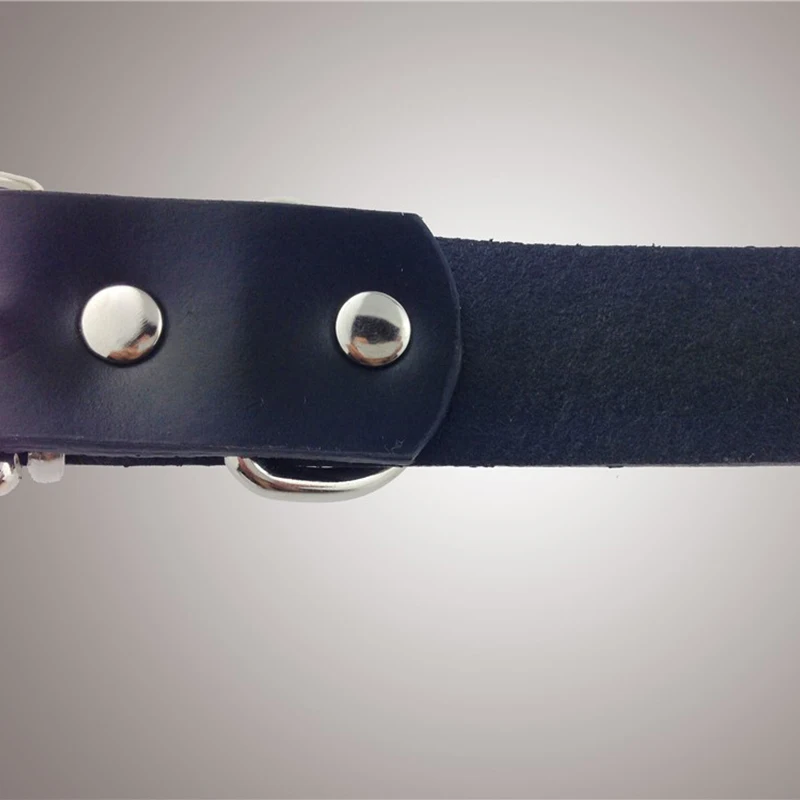 Череп Шипованный ошейник для собак из искусственной кожи Регулируемый кошек