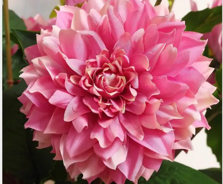6 шт. Высший сорт декоративные цветы Моделирование Dahlia искусственные оптом