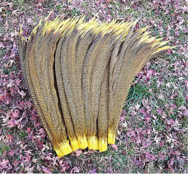 Yellow Горячая 20/100 шт. отделка бахромой в виде золотого фазана хвостовые перья в переменного тока, 50-55 см/20-22 дюйма/Алмазный фазан хвост перья фазана - Цвет: Yellow