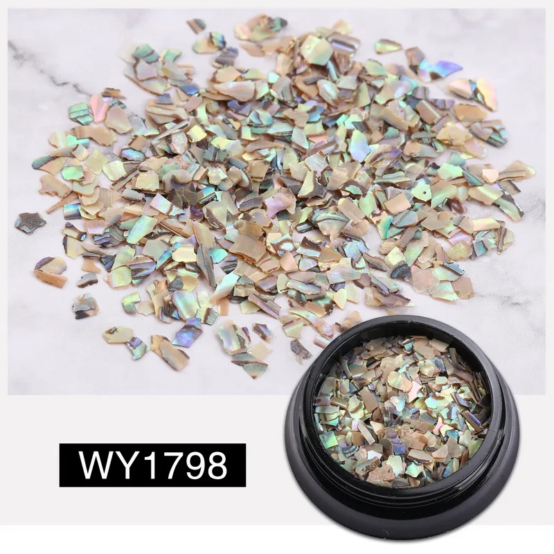 WY1798 Натуральный Abalone Shell неровный Фрагмент дизайн ногтей 3D Шарм украшения ломтик DIY наклейки для ногтей УФ гель акриловые ногти маникюр - Цвет: WY1798