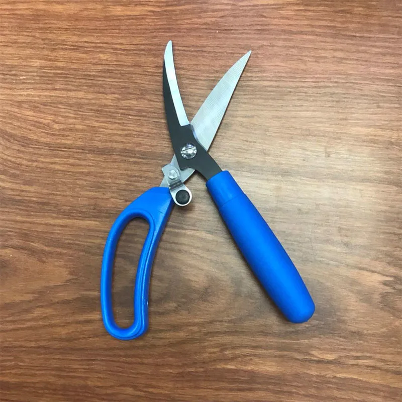 Mustad Norway Origin Fishing Bait Scissors Stainless Steel Bait Lure Line Cutter,MT030