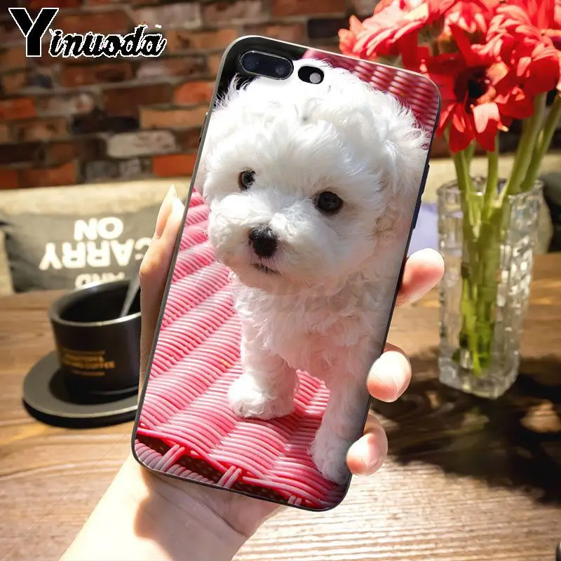 Yinuoda животное Bichon frise собака восхитительный цветной рисунок чехол для телефона Apple iPhone 8 7 6 6S Plus X 5s 11pro SE 5C Чехол