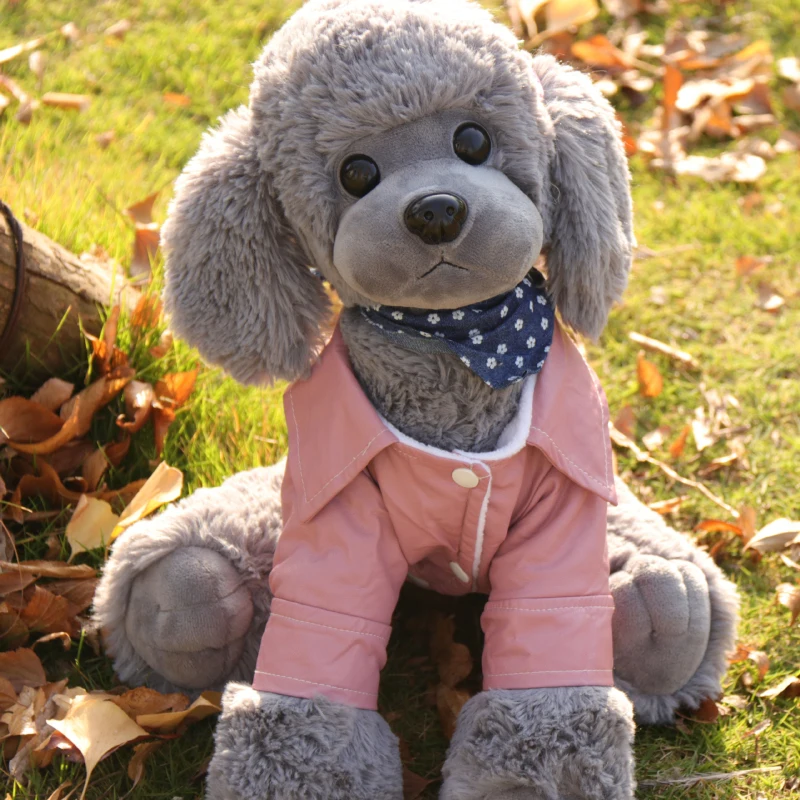 Кожаная куртка для собак осенняя и зимняя одежда чихуахуа пуделя бишона Йоркшира