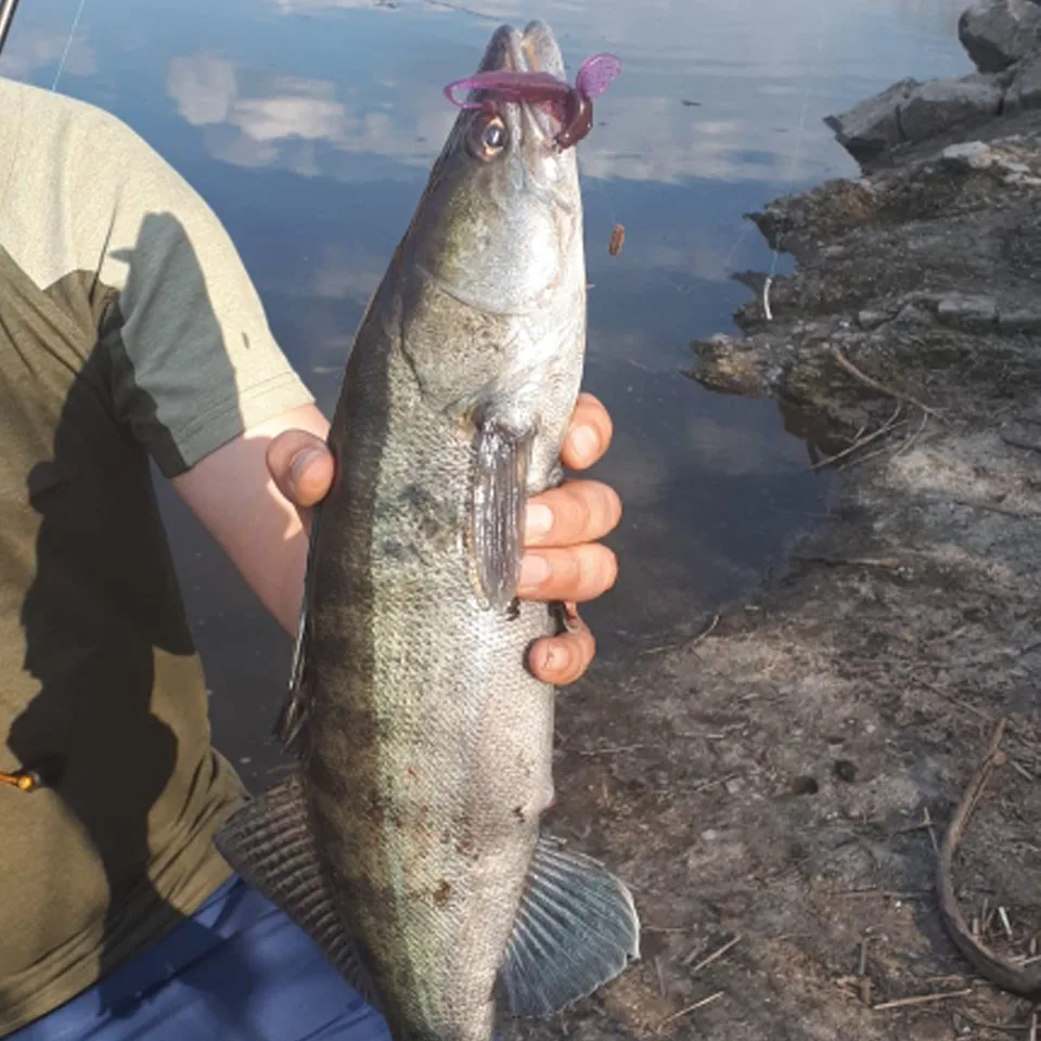 WALK FISH искусственная силиконовая рыболовная приманка 6 шт./лот мягкие приманки