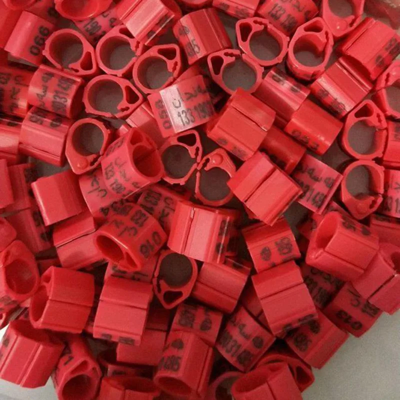 Оптом/в розницу 8 мм птицы голубь пластиковые ножные кольца индивидуальное имя