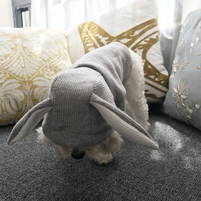 Bigeyedog собачья толстовка с капюшоном Пальто Толстовка Осень Зима Одежда для собак mascotas ropa perro костюм для домашних животных французская одежда для французского бульдога