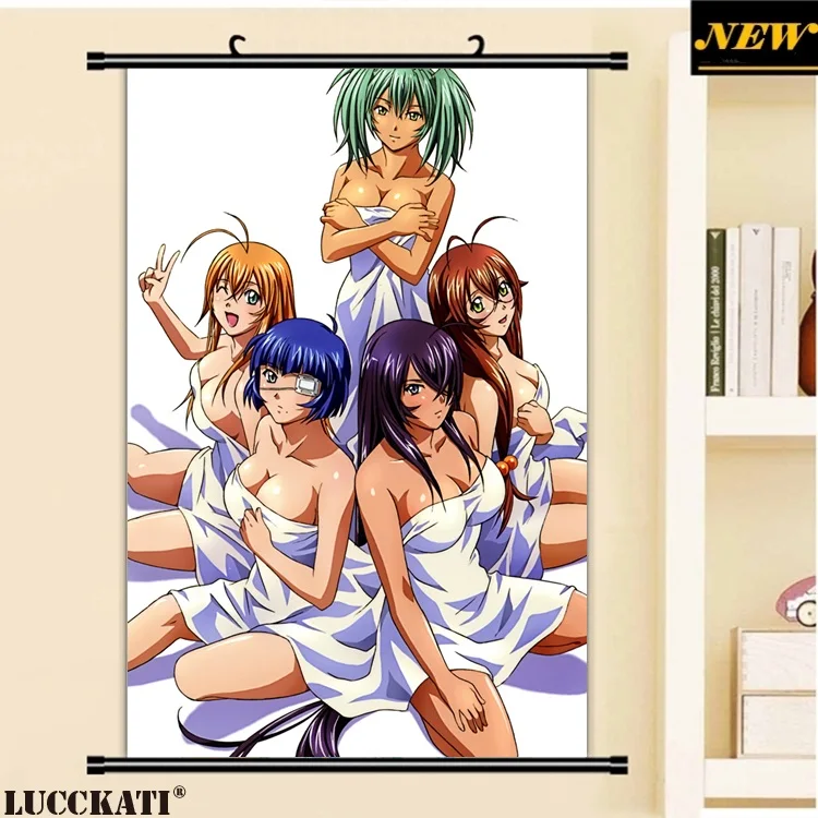 40X60 см Ikkitousen battale Vixens Shiozaki Yuji серия квитанция мультфильм аниме Настенная картина прокрутки холст живопись плакат - Цвет: S