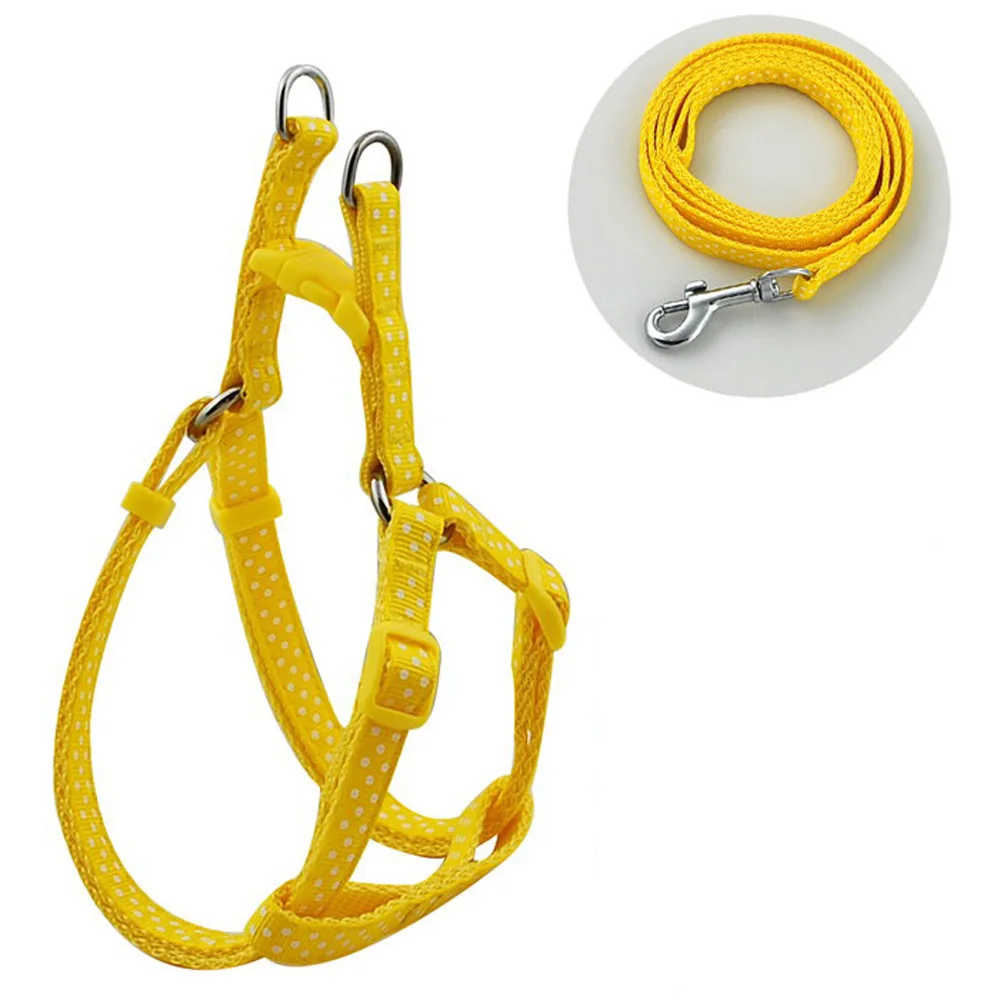 Поводок нейлоновый в горошек для прогулок ширина 1 0 см|pet harness|leash setwalking leash |
