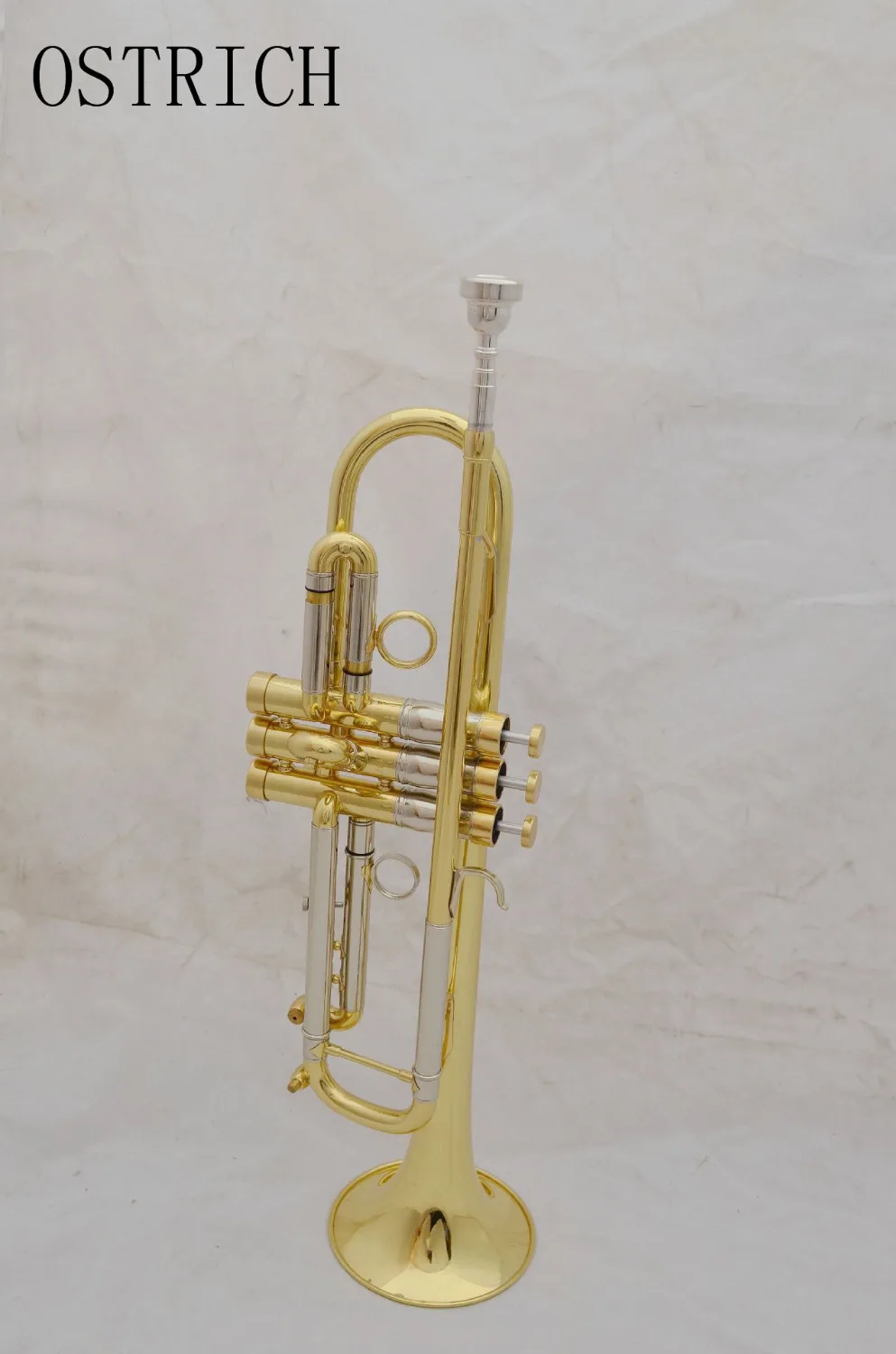 Новая Страусиная распродажа! Абсолютно новая латунь отделка Bb Труба с бесплатным