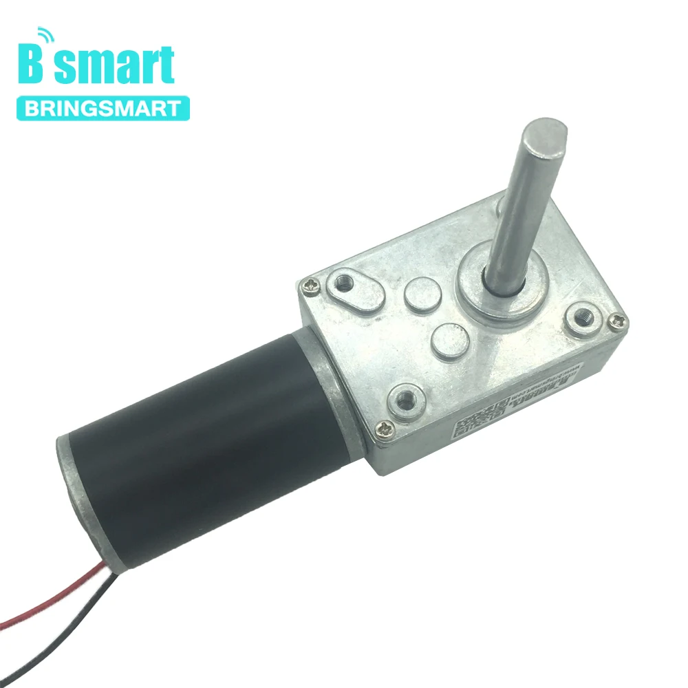 DC 24V PMDC Червячные редукторные двигатели с высоким крутящим моментом 12V Вольт двигатель постоянного тока обратный редукционный двигатель самоблокирующийся удлинитель 5840-31ZY