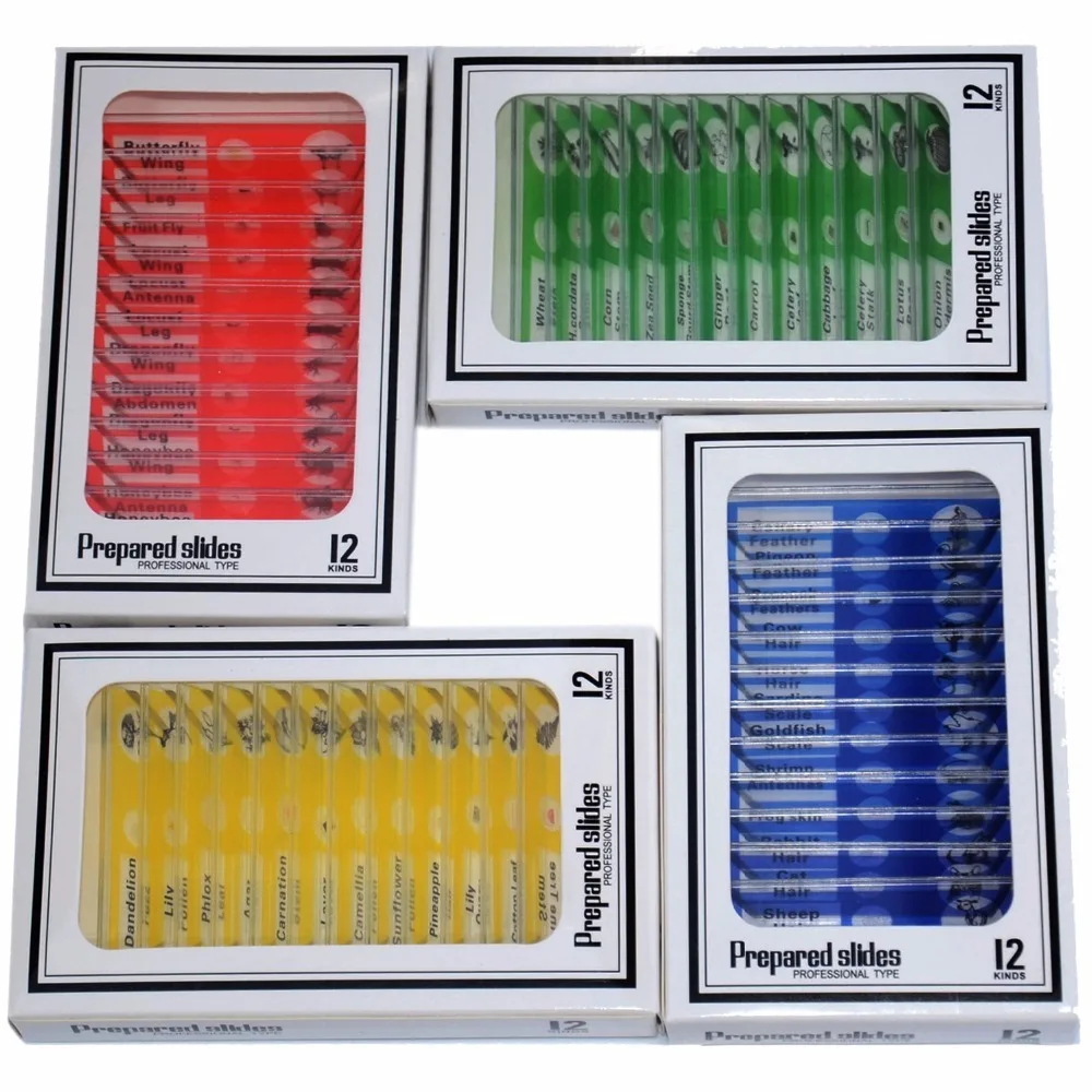 48 шт. Пластик подготовлены предметные головоломки биологический образец с 4