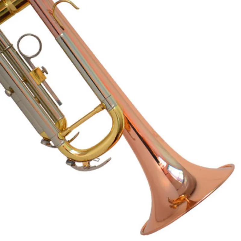 Рифма музыкальный instrumentdirect dealdown btrumpetphosphor coppertrumpetbeautiful toneexemption от почтовых|Труба| |