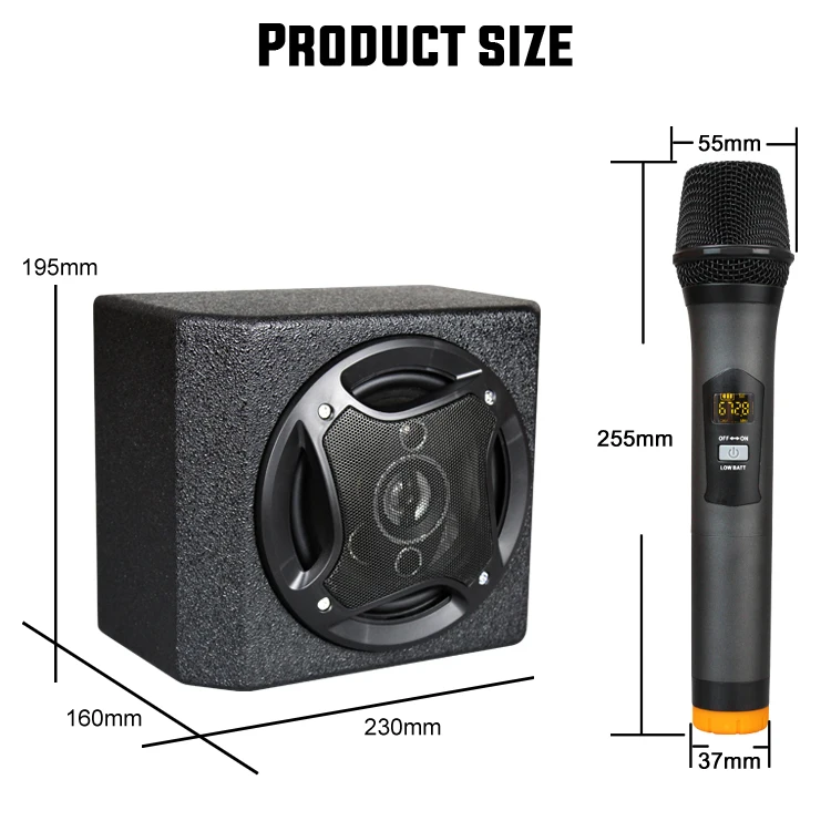 B18 портативный PA динамик с Bluetooth беспроводной микрофон для Dj Караоке часть a solo акустическая производительность компьютерные колонки