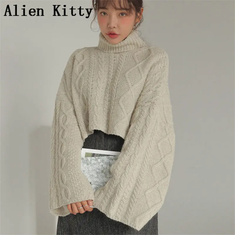 Alien Kitty стильный осенний элегантный вязаный Универсальный пуловер свитер Женский