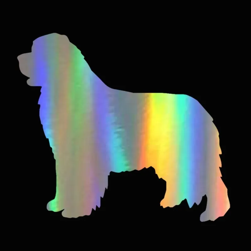 Car Sticker Vinyl 22.9*20.3cm Newfoundland Dog Window Glass Decorative Stickers Lovely Wall Motorcycle Decals Black/Silver/Laser |