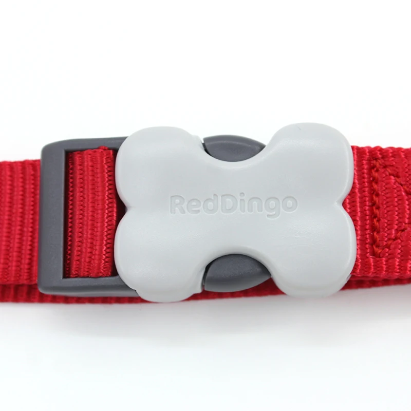 Rui Ding Dog RedDingo ошейник для лошади нейлон Gogo статьи тактильная собака круг шеи набор