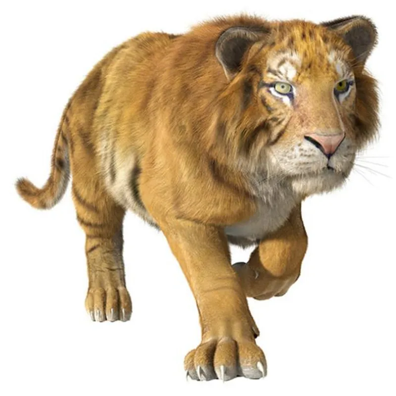 Животные Лев железо накладки на одежду для девочек 3d наклейки термоcollants футболка