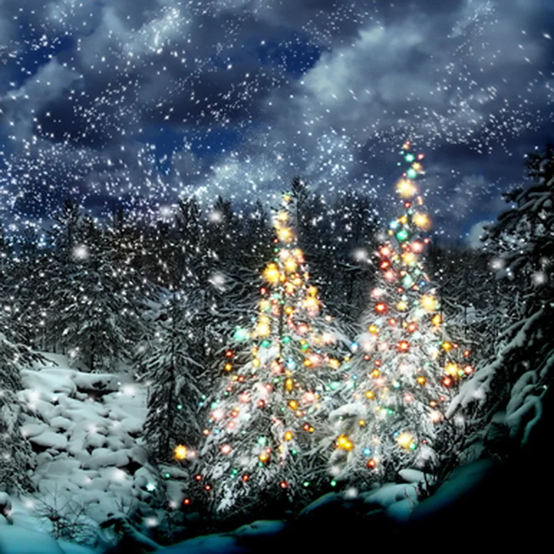 10x10FT темно голубое небо снег хлопья лес свечение Рождественская елка