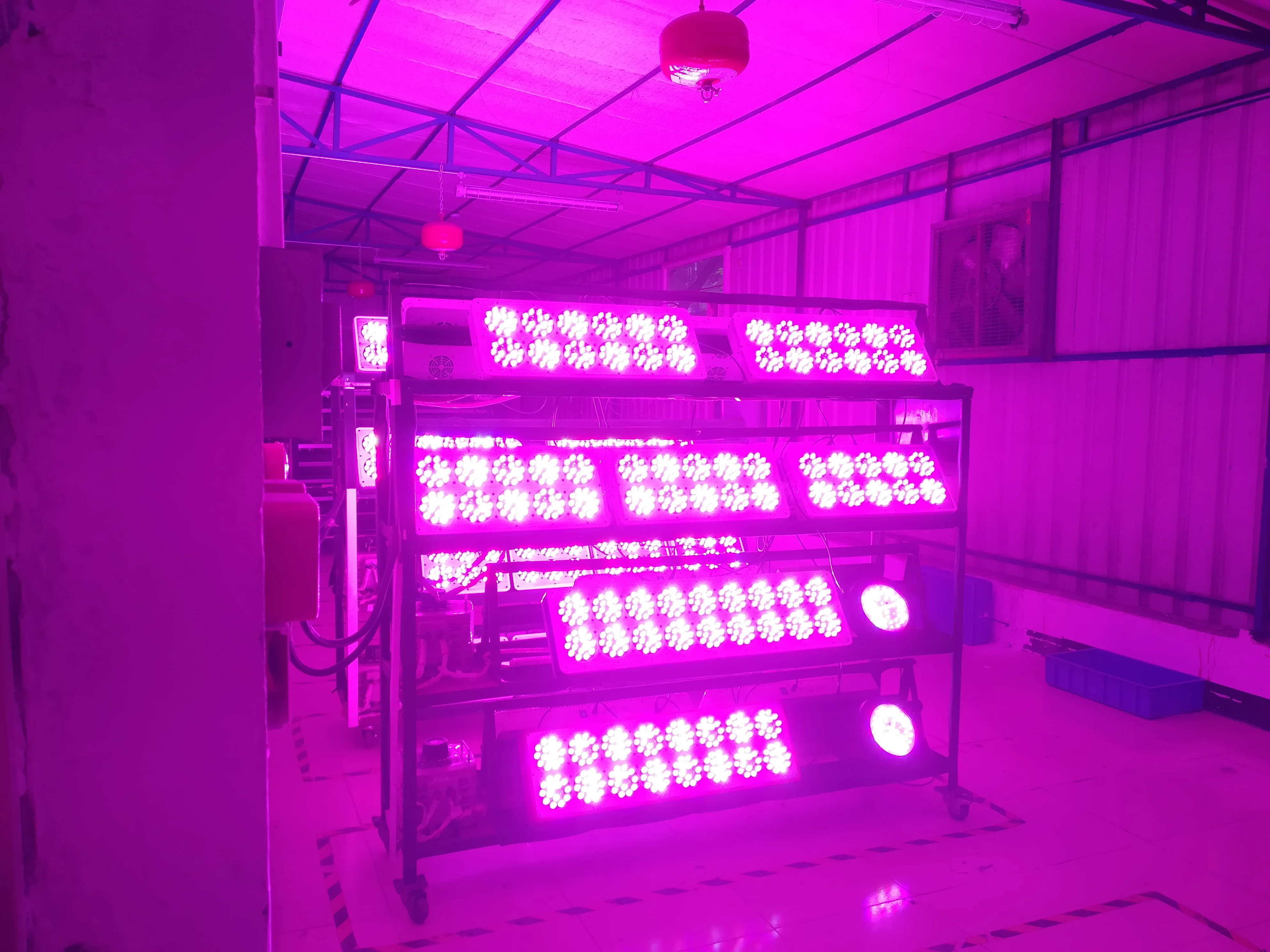 Светодиодный Grow светильник полный спектр Apollo 4/6/8/10/12/16/18/20 180 Вт/270 w/360 w/450 w/540 w/720 w/810 w/900 w для комнатных растений светодиодный светильник для выращивания