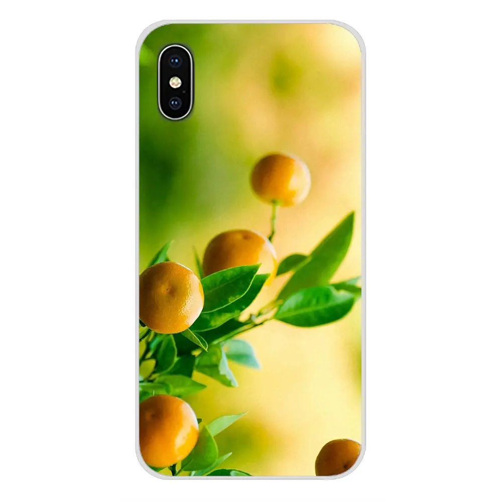 Оригинальный чехол для Xiaomi Mi6 A1 5X 6X Redmi Note 5 5A 4X 4A 4 3 Plus Pro pocophone F1 | Мобильные телефоны