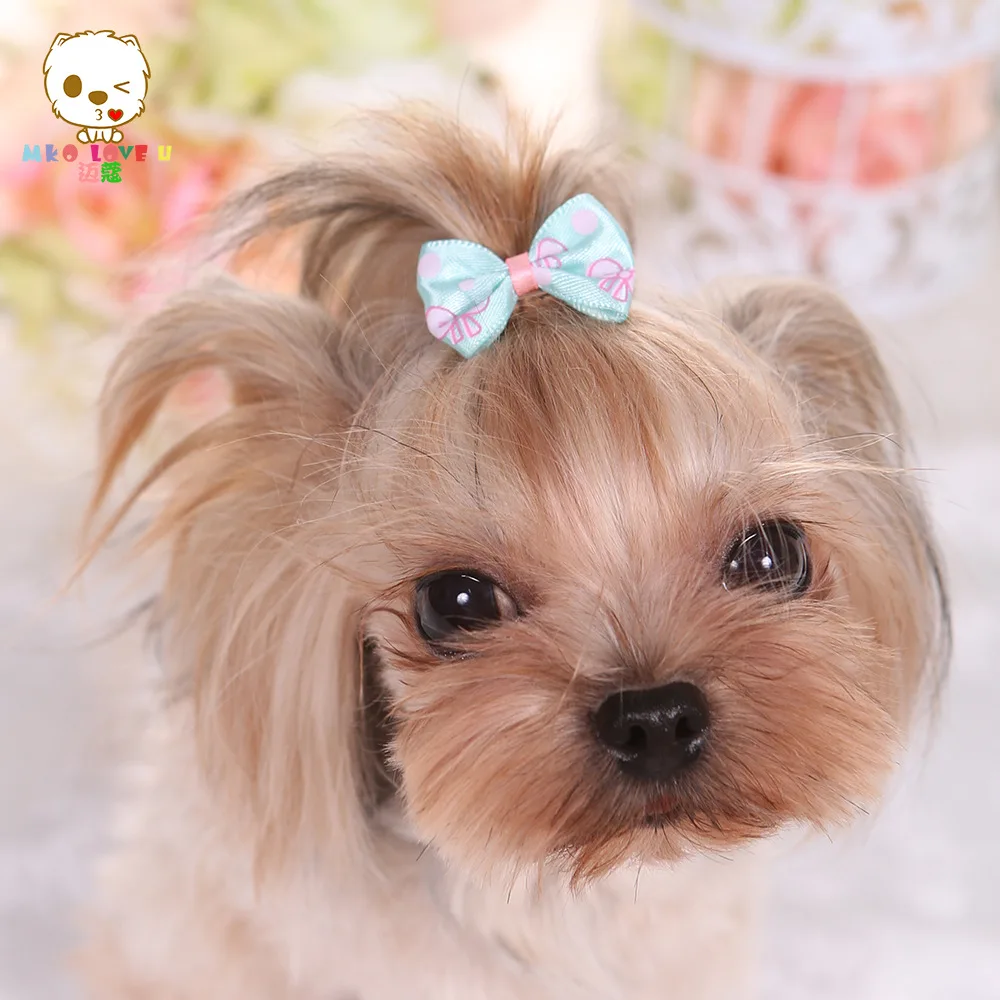 Pasador Yorkshire VIP para mascotas, accesorios para el cabello para perros, horquilla para mascotas con estampado, 50 Uds.-1