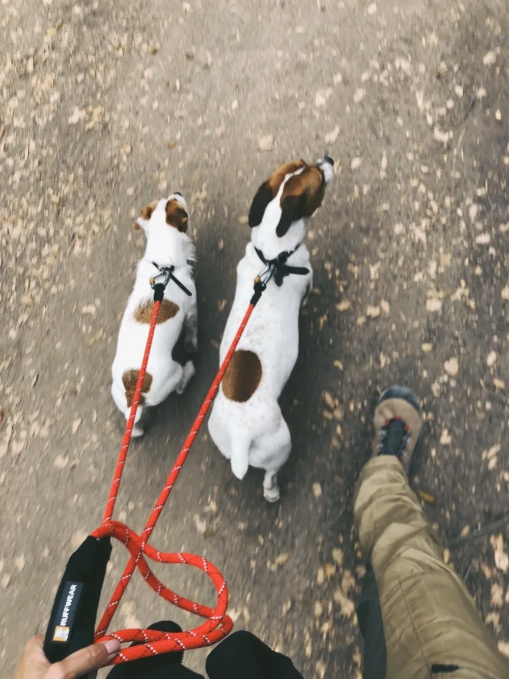 RUFFWEAR-Knot-a-Leash, светоотражающий собачий поводок с надежным фиксирующим карабином S/L