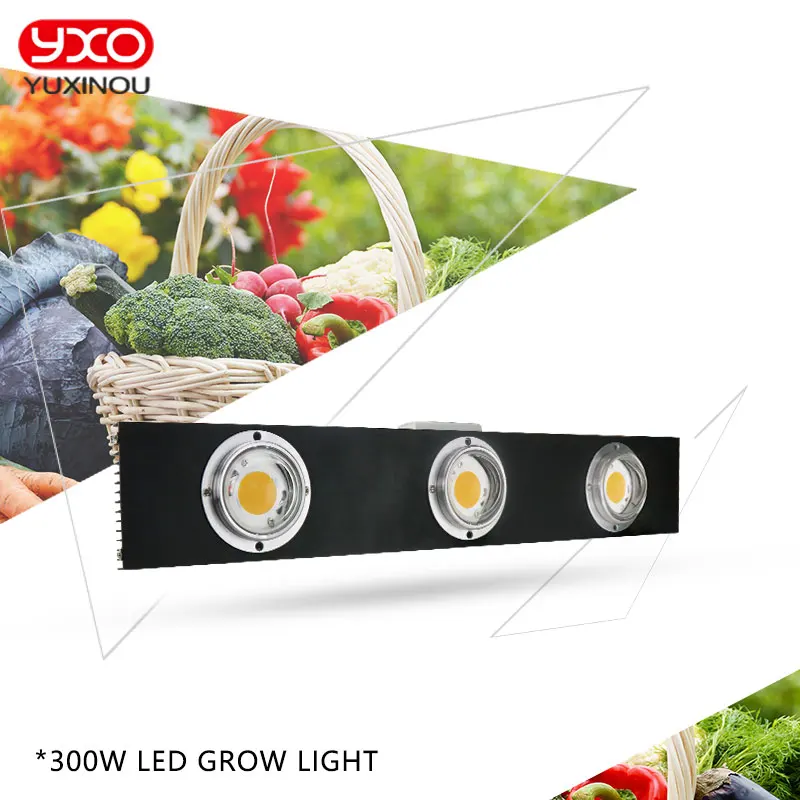 CREE CXB3590 300 Вт COB Диммируемый светодиодный светильник полный спектр светодиодный светильник 38000лм = HPS 600 Вт лампа для выращивания растений в помещении светильник ing