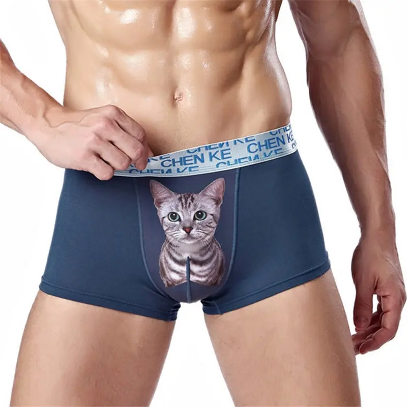 4 шт./лот модные CALVIN сексуальные удобные дышащие мужские трусы из модала с милым