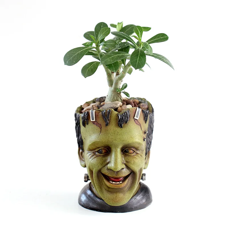 Творческий микро пейзаж смолы цветочный горшок суккуленты растения дом бонсай