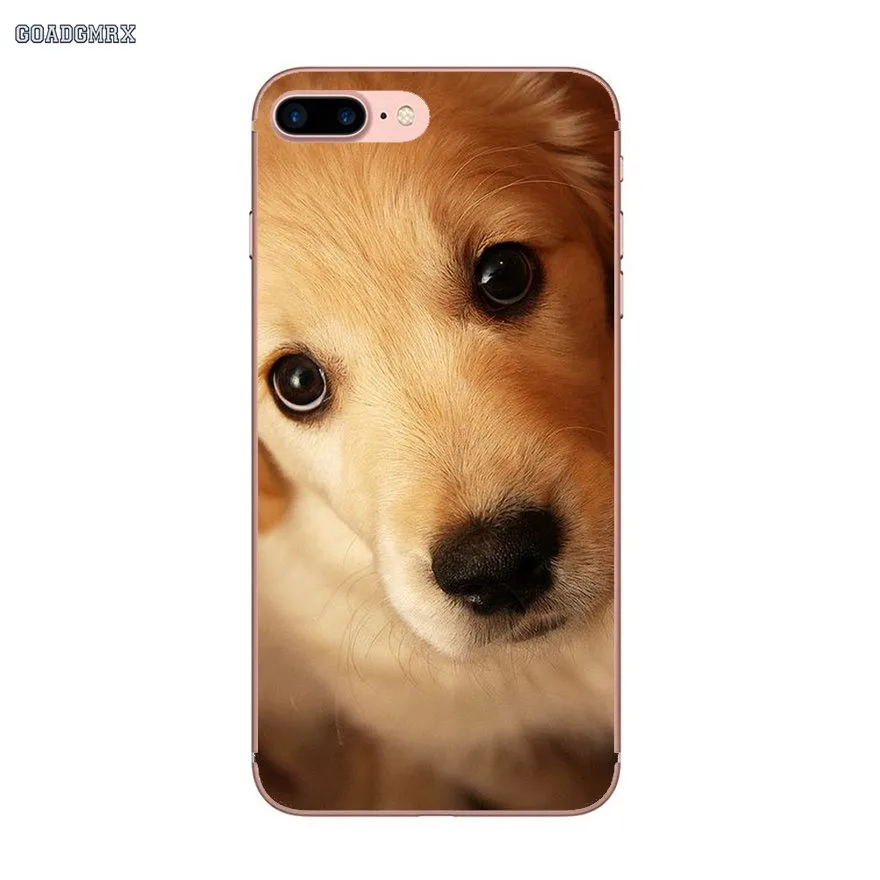 For Huawei P Smart P8 P9 P10 Lite Y6 Y7 Y9 Prime Pro 2017 2018 2019 Transparent TPU Case Covers Golden Retriever Lovely Puppy | Мобильные