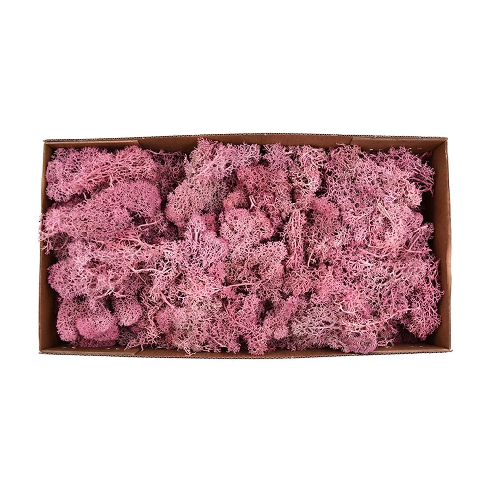 Pink 500 г/кор. цветы из мха, долго сохраняющиеся сушеные цветы для рукоделия, домашний декор для свадебной вечеринки, Лучшая цена - Цвет: Pink