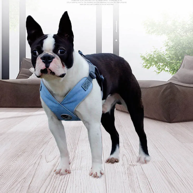 Светоотражающий собачий ошейник для маленьких средних собак стеганый жилет